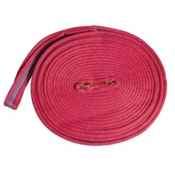 Kincade Two Tone Padded Lunging Rein