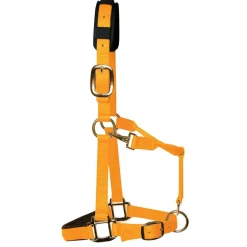 KM Elite Padded Headcollar