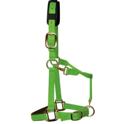 KM Elite Padded Headcollar