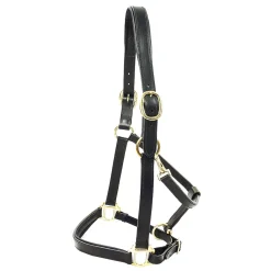 KM Elite Primera Padded Leather Headcollar