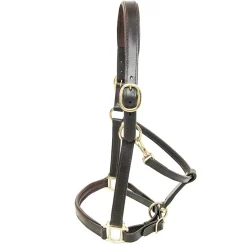 KM Elite Primera Padded Leather Headcollar