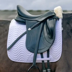 KM Elite Teddy Soft Dressage Square