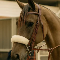 KM Elite Teddy Soft Noseband