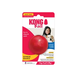 KONG Ball