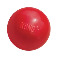 KONG Ball