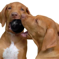 KONG Ball Extreme