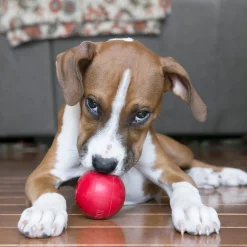 KONG Ball With Hole