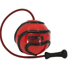 KONG Wavz Bunjiball