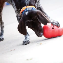 KONG Wobbler