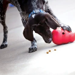 KONG Wobbler