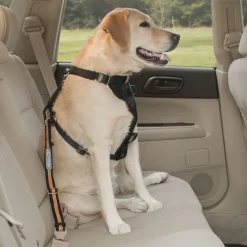 Kurgo Direct To Seatbelt Tether