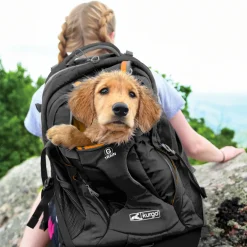 Kurgo G-Train K9 Pack