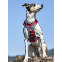 Kurgo Journey Air Harness