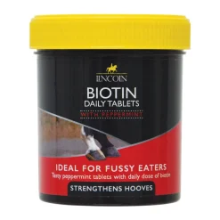Lincoln Biotin Tablets