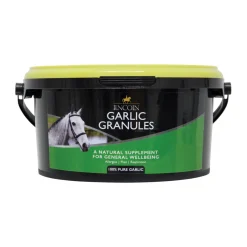 Lincoln Garlic Granules