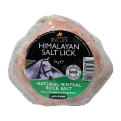 Lincoln Himalayan Salt Lick