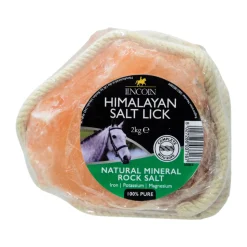 Lincoln Himalayan Salt Lick
