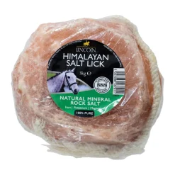 Lincoln Himalayan Salt Lick