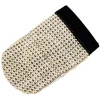 Lincoln Cactus Grooming Mitt
