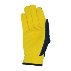 Little Knight Lancelot Children Riding Gloves