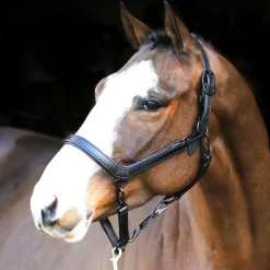 Liveryman Clipping Headcollar
