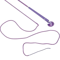 Mac Tack Lunge Whip