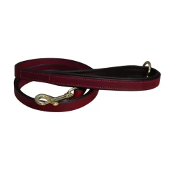 Mackey Padded Dog Lead