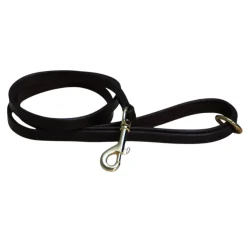 Mackey Padded Dog Lead
