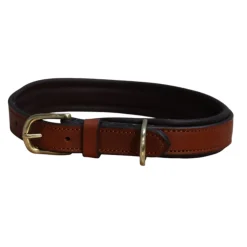 Mackey Padded Leather Dog Collar