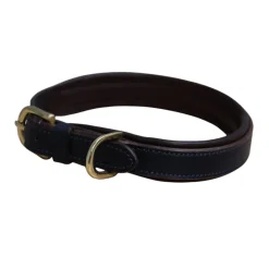 Mackey Padded Leather Dog Collar