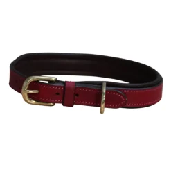 Mackey Padded Leather Dog Collar