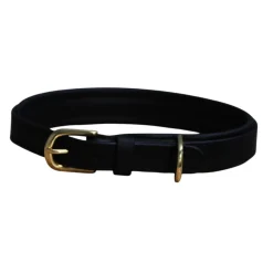 Mackey Padded Leather Dog Collar
