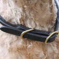 Mackey Rolled Leather Dog Collar