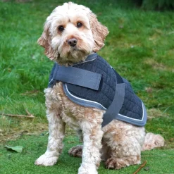 Mackey Thermo Dog Rug