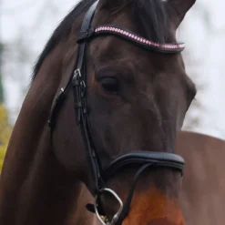 Mackey Baby Pink Sparkle Browband