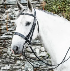Mackey Classic Double Bridle