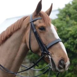 Mackey Classic Double Bridle