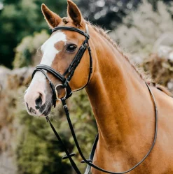 Mackey Classic Flash Bridle