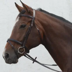 Mackey Classic Flash Bridle