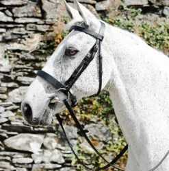Mackey Classic Hunt Bridle with Reins