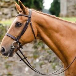Mackey Classic Hunt Bridle with Reins