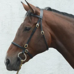 Mackey Classic In-Hand Bridle