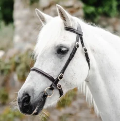 Mackey Classic In-Hand Bridle