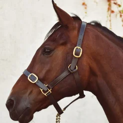 Mackey Classic Leather Headcollar
