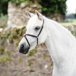 Mackey Classic Mexican Grackle Noseband