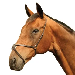 Mackey Classic Mexican Grackle Noseband