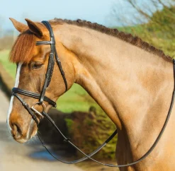 Mackey Classic Padded Flash Bridle