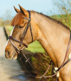 Mackey Classic Padded Flash Bridle