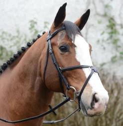 Mackey Classic Padded Grackle Bridle