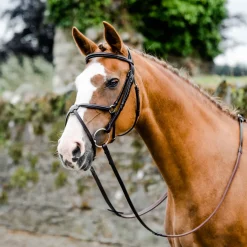 Mackey Classic Padded Grackle Bridle
